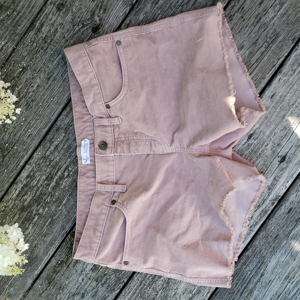 Carve Design Oahu 4" shorts, 6, fawn